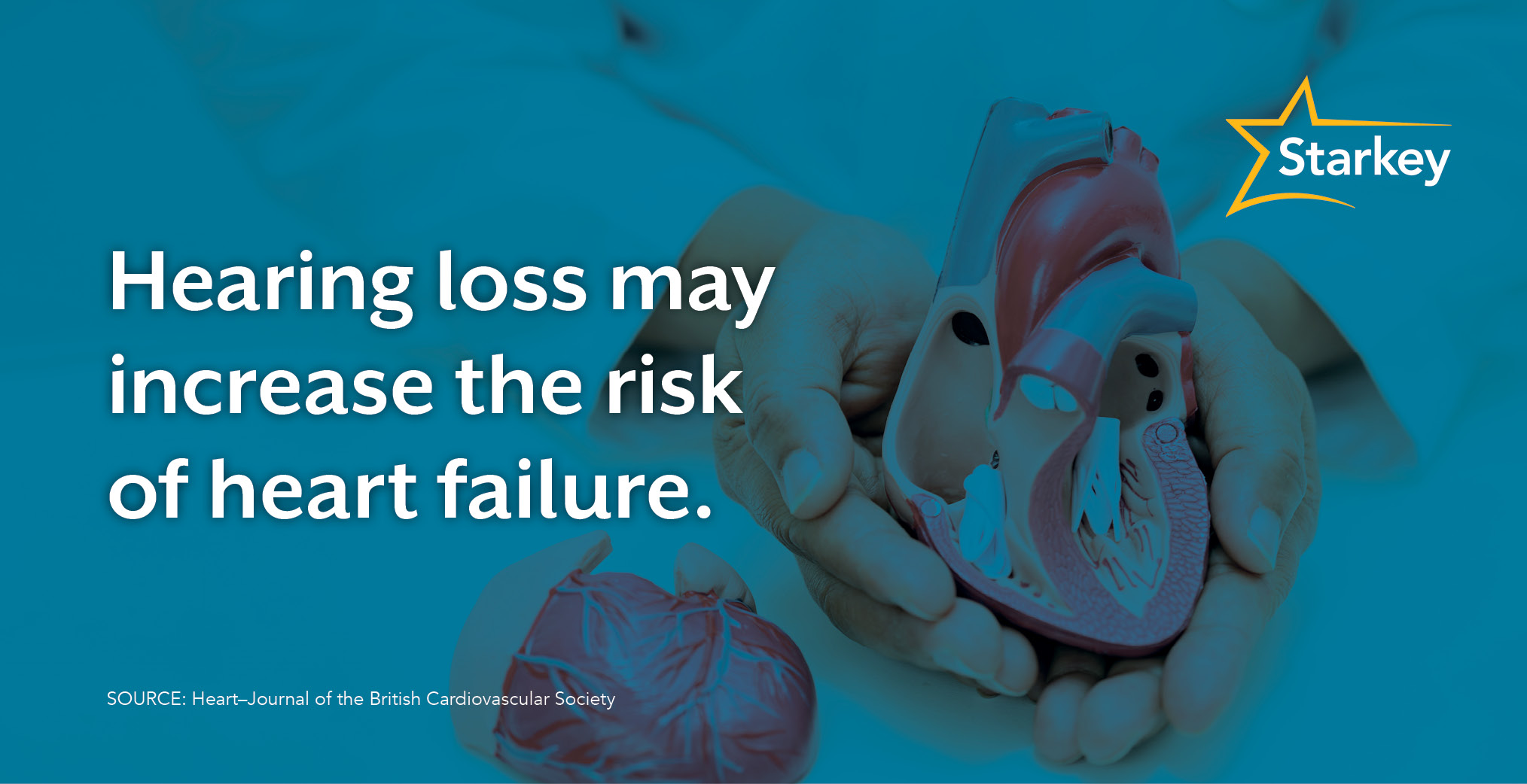 Physician hands holding a model of a heart beside the fact that says hearing loss may increase the risk of heart failure